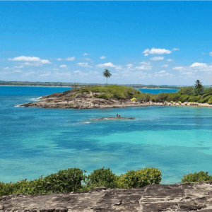 Ilha de Santo Aleixo