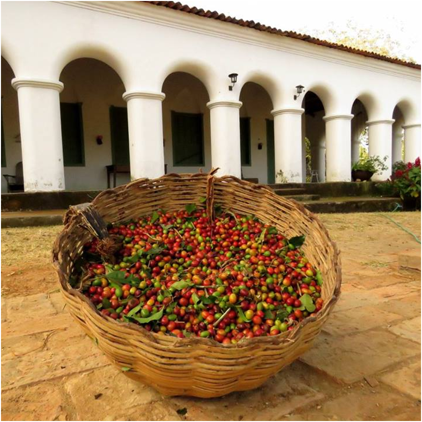 Ceará